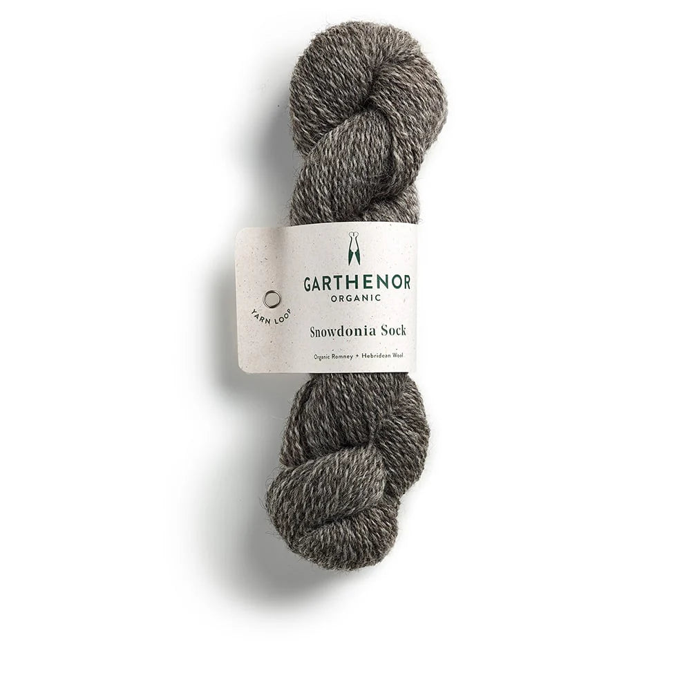 Garthenor Snowdonia Sock Yarn in Idris from the Knit Lounge