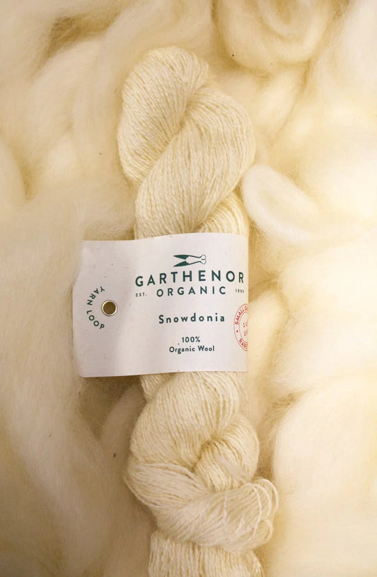 Garthenor Snowdonia Sock Yarn in Burford.