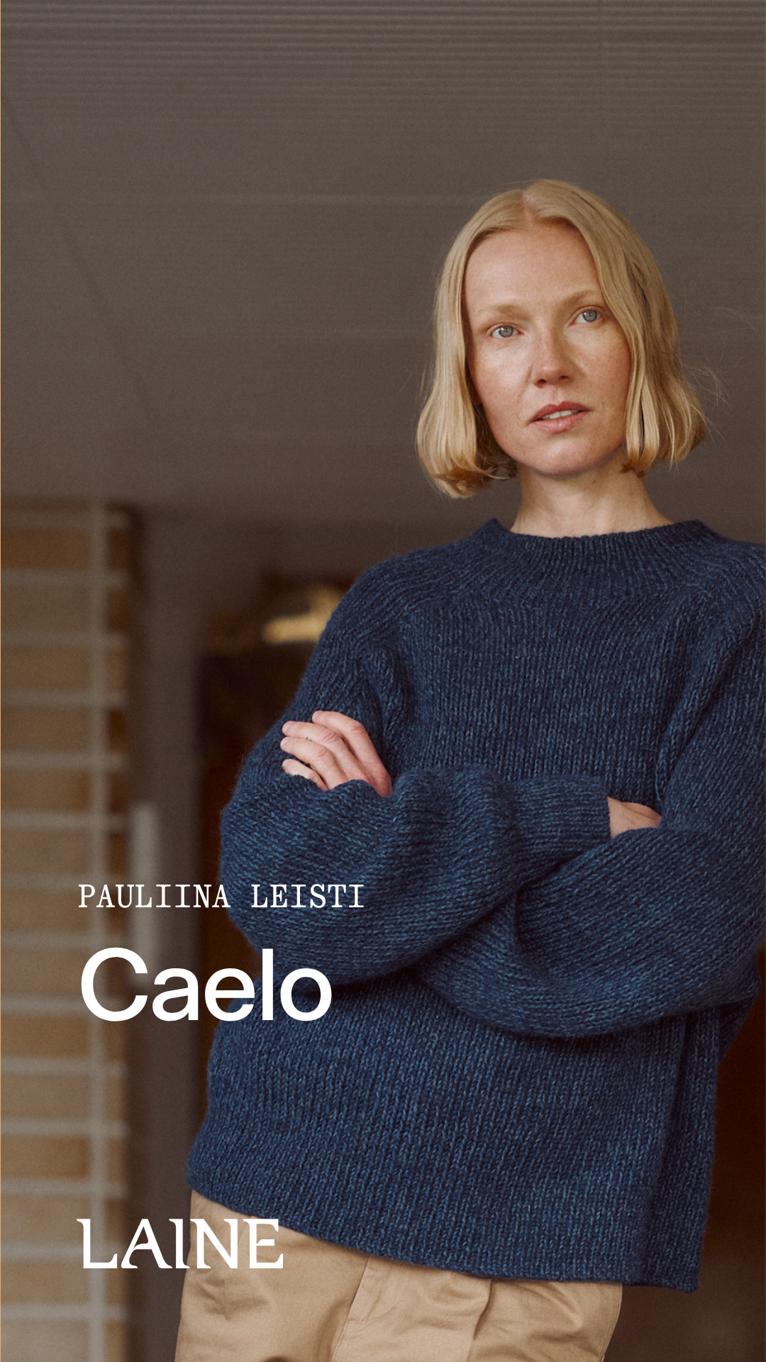Laine Nordic Knits 2 - Special Edition