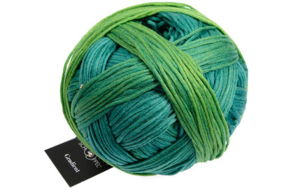 Gradient by Schoppel Wolle in shade 1878 - In the Meadow. Buy now from The Knit Lounge UK wool shop.