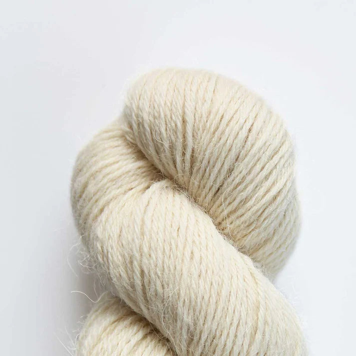 Baa Ram Ewe Eden DK Yarn