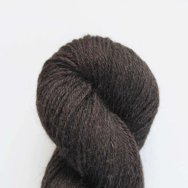 Baa Ram Ewe Eden DK Yarn