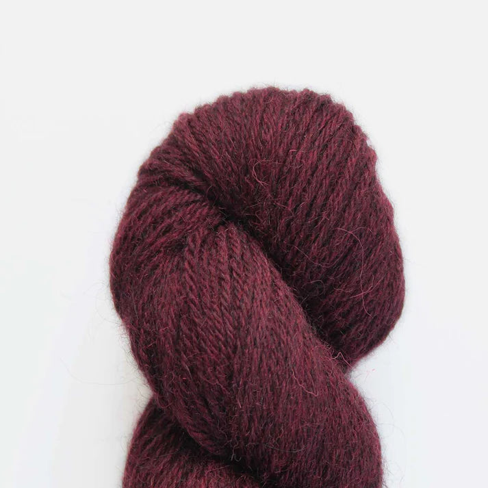 Baa Ram Ewe Eden DK Yarn