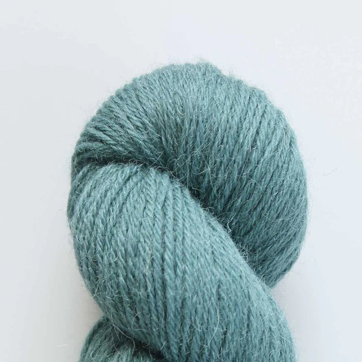 Baa Ram Ewe Eden DK Yarn