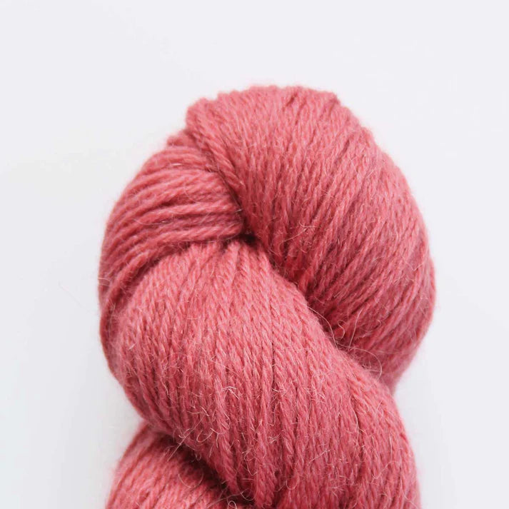 Baa Ram Ewe Eden DK Yarn