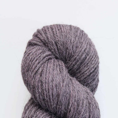 Baa Ram Ewe Eden DK Yarn