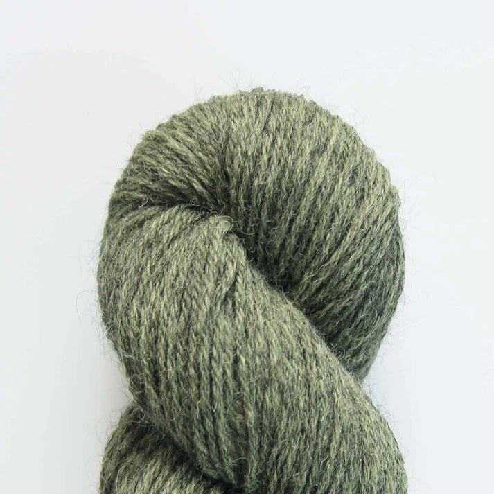 Baa Ram Ewe Eden DK Yarn