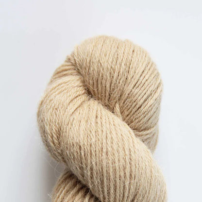 Baa Ram Ewe Eden DK Yarn