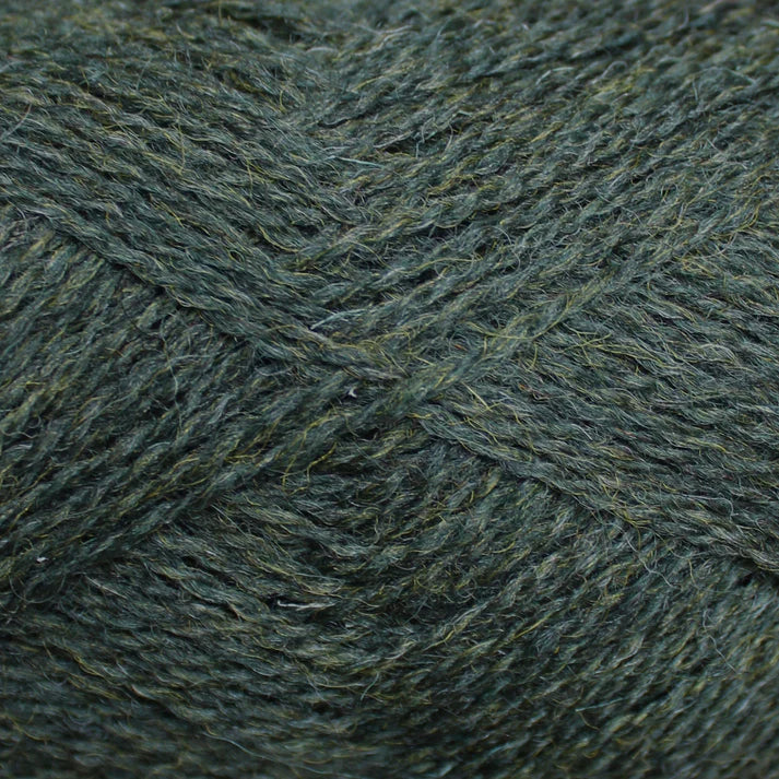 Baa Ram Ewe PIP Colourwork Yarn 25g