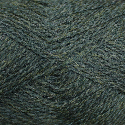 Baa Ram Ewe PIP Colourwork Yarn 25g