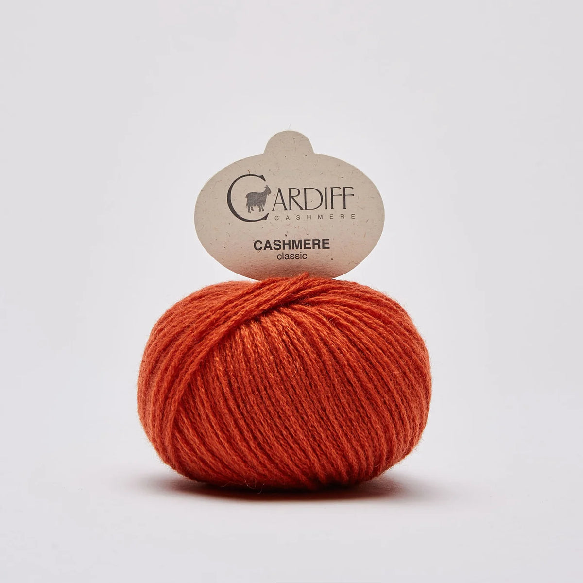 Cardiff Cashmere Classic in shade Take from UK knit shop The Knit Lounge.