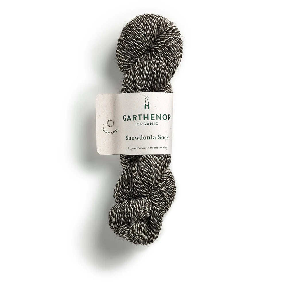 Garthenor Snowdonia Sock Yarn in Idwal from the Knit Lounge