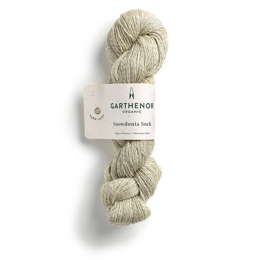 Garthenor Snowdonia Sock Yarn in Moel Hebog from the Knit Lounge