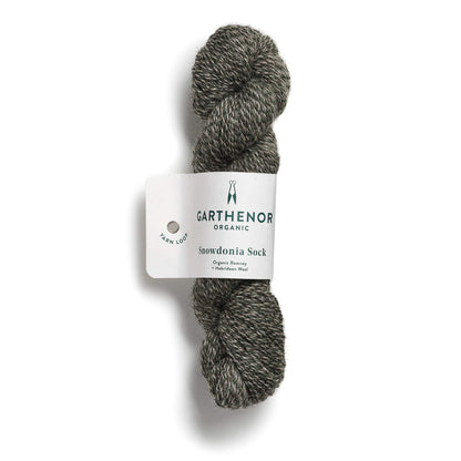Garthenor Snowdonia Sock Yarn in Gower from the Knit Lounge