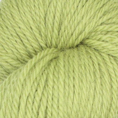 Baa Ram Ewe Woodnote DK in 015 Caterpillar from The Knit Lounge.