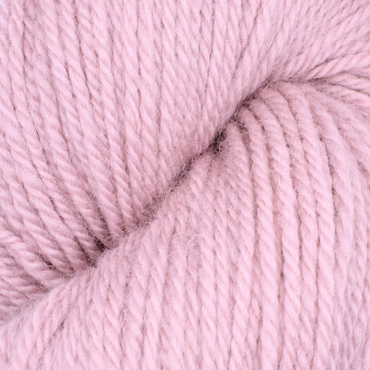Baa Ram Ewe Woodnote DK in 016 Petal Pink from The Knit Lounge.