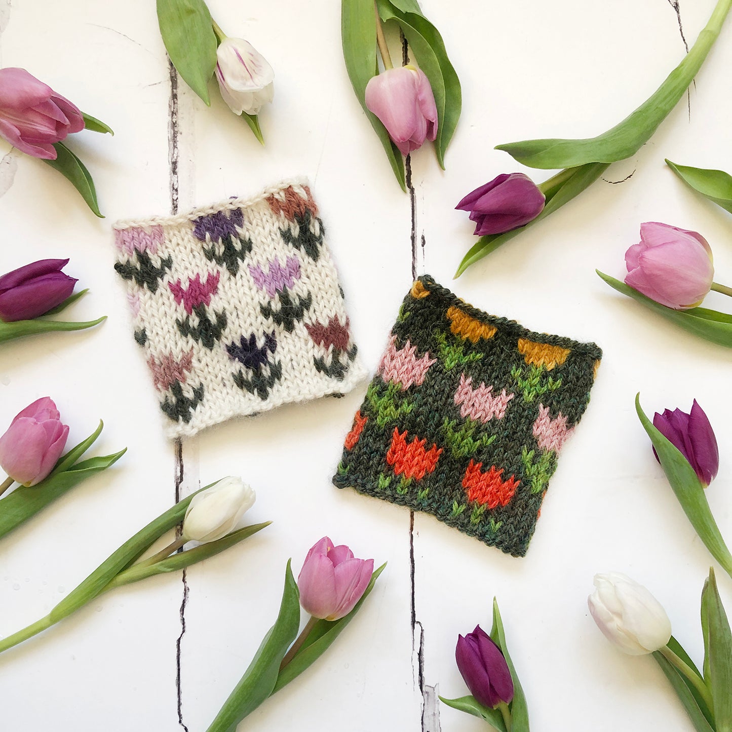 Introduction to Stranded Colourwork Knitting with Annah from Needle & Feather