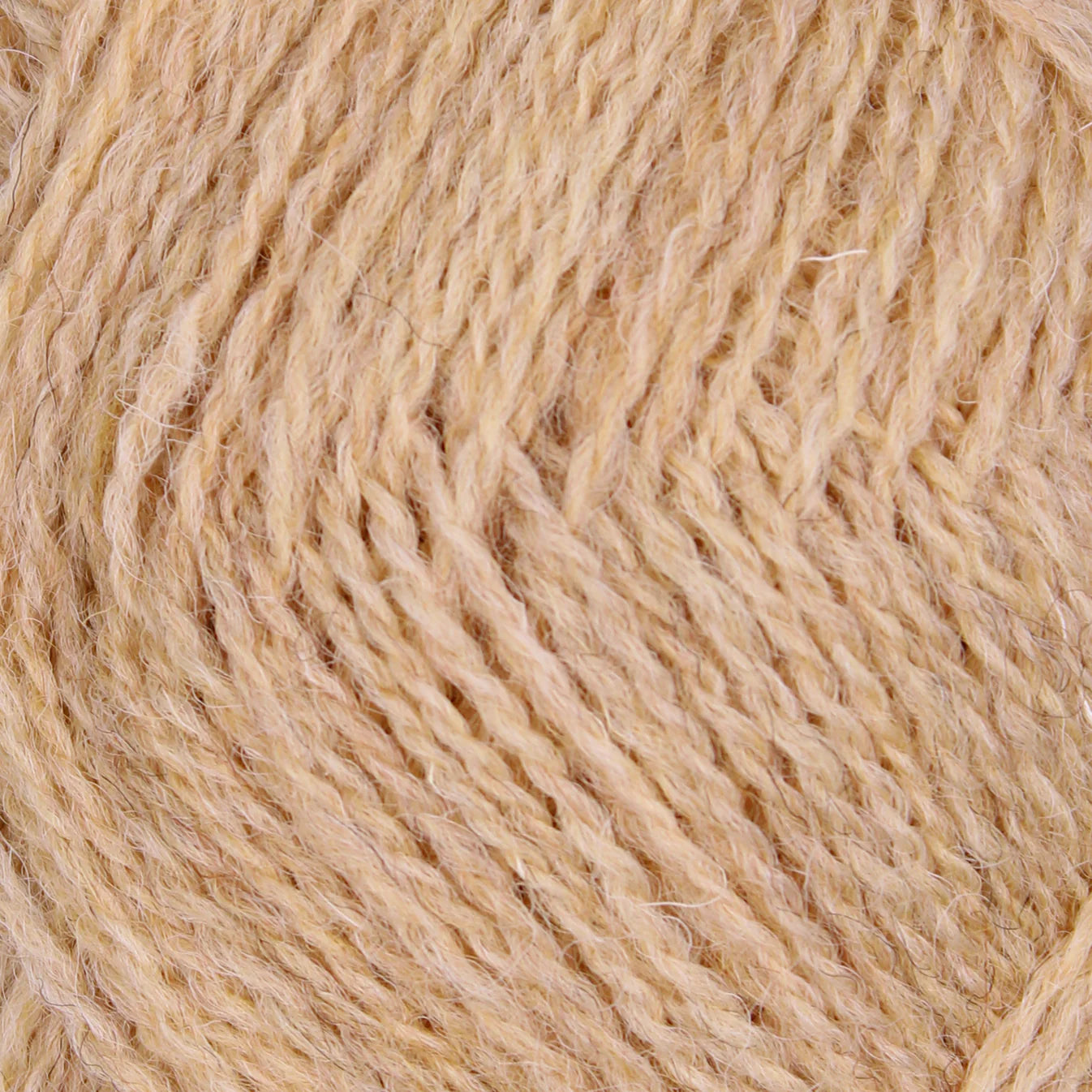 Baa Ram Ewe PIP Colourwork Yarn 25g