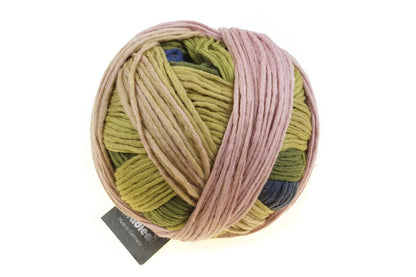 Schoppel Wolle Gradient 100g