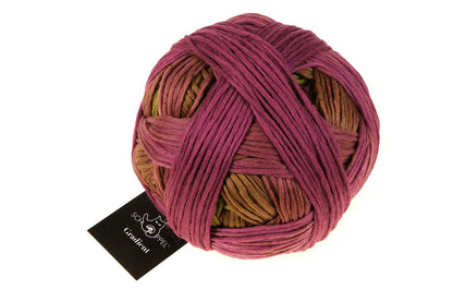 Schoppel Wolle Gradient 100g